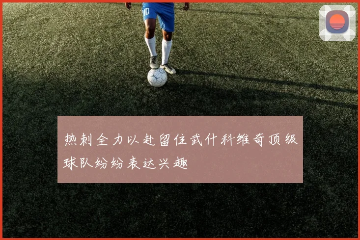 热刺全力以赴留住武什科维奇顶级球队纷纷表达兴趣